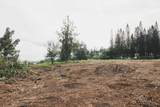 6501 Honoapiilani Hwy - Photo 16
