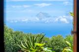 1740 Piiholo Rd - Photo 15