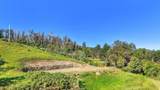  Alaluana Rd - Photo 11