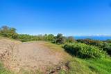 Alaluana Rd - Photo 14