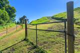  Alaluana Rd - Photo 16