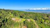  Alaluana Rd - Photo 4