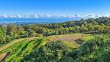  Alaluana Rd - Photo 8