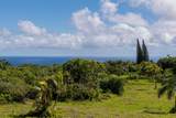 601 Honokala Rd - Photo 1