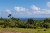 601 Honokala Rd - Photo 2