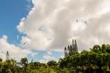 601 Honokala Rd - Photo 24