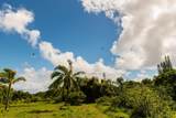 601 Honokala Rd - Photo 25