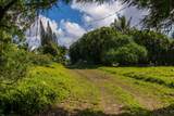 601 Honokala Rd - Photo 7