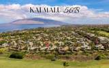 363 Kai Malu Pl - Photo 50