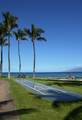 3543 Lower Honoapiilani Rd - Photo 11