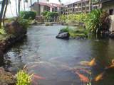 3543 Lower Honoapiilani Rd - Photo 14