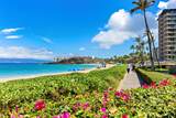 2481 Kaanapali Pkwy - Photo 15