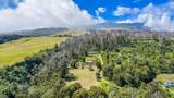 156 Alaluana Rd - Photo 45