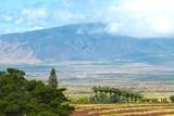  Omaopio Rd - Photo 18