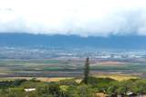  Omaopio Rd - Photo 20