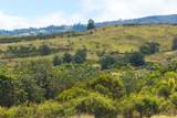  Omaopio Rd - Photo 23
