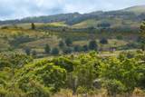  Omaopio Rd - Photo 24