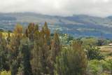  Omaopio Rd - Photo 26