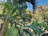 2531 Kihei Rd - Photo 22