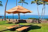 3600 Wailea Alanui Dr - Photo 39