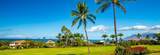 3950 Kalai Waa St - Photo 22