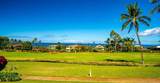 3950 Kalai Waa St - Photo 3