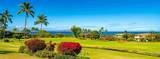 3950 Kalai Waa St - Photo 5