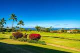 3950 Kalai Waa St - Photo 6