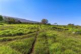 0 Calasa Rd - Photo 10