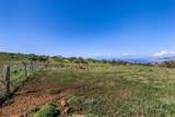 0 Calasa Rd - Photo 14