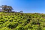 0 Calasa Rd - Photo 9