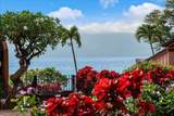 3959 Lower Honoapiilani Rd - Photo 1