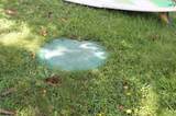 29 Mikiola St - Photo 21
