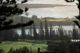 215 Plantation Club Dr - Photo 42