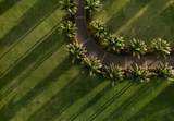 215 Plantation Club Dr - Photo 5