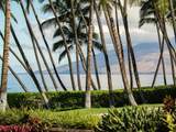 3146 Kihei Rd - Photo 34