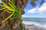36 Kihei Rd - Photo 35