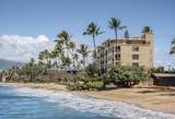36 Kihei Rd - Photo 37