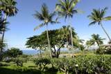 2777 Kihei Rd - Photo 17
