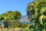 85 Hale Alii Pl - Photo 28