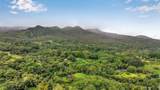143 Alalele Pl - Photo 48