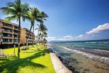 3601 Lower Honoapiilani Rd - Photo 23