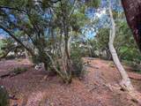 36 Koala Way - Photo 10