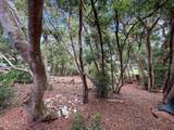 36 Koala Way - Photo 11