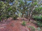 36 Koala Way - Photo 12