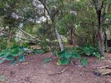 36 Koala Way - Photo 13