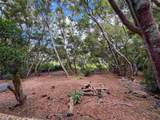 36 Koala Way - Photo 2