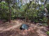 36 Koala Way - Photo 6