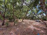36 Koala Way - Photo 8
