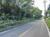 4550 Hana Hwy - Photo 10